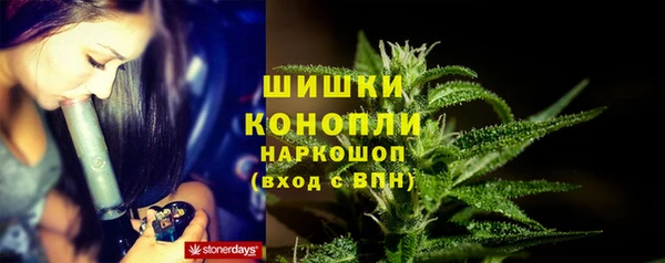 СК Алзамай