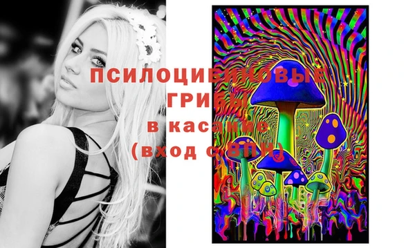 метадон Алексеевка