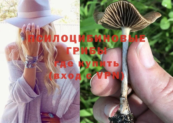 СК Алзамай