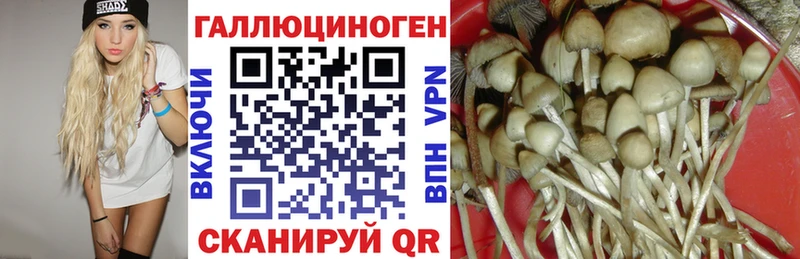 Псилоцибиновые грибы GOLDEN TEACHER  Нижний Тагил 