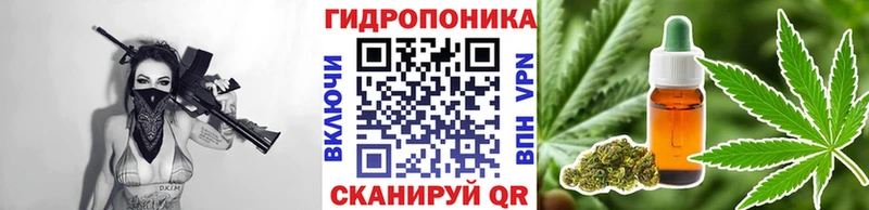 Шишки марихуана марихуана  Нижний Тагил 